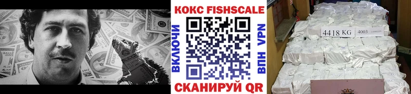 Купить где  Юрюзань  Cocaine FishScale 